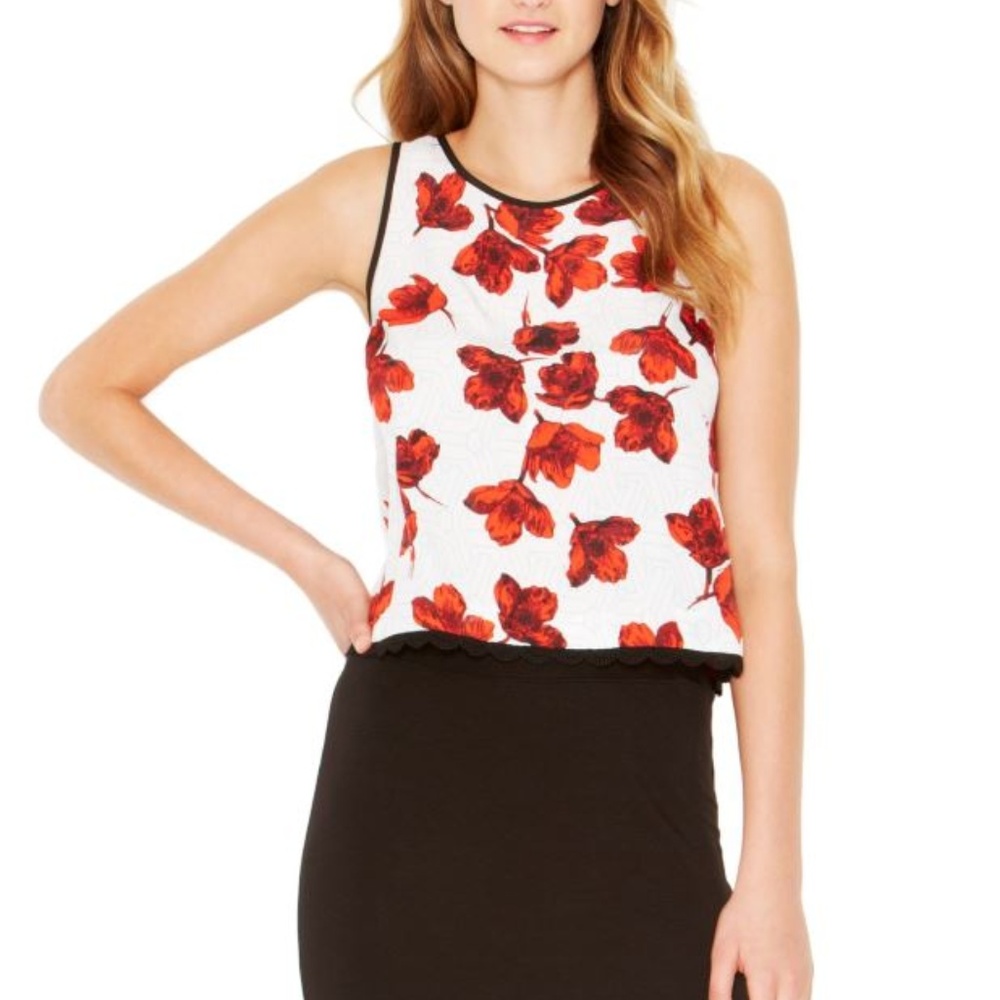 Kensie  'Etched Poppies' Crop Top